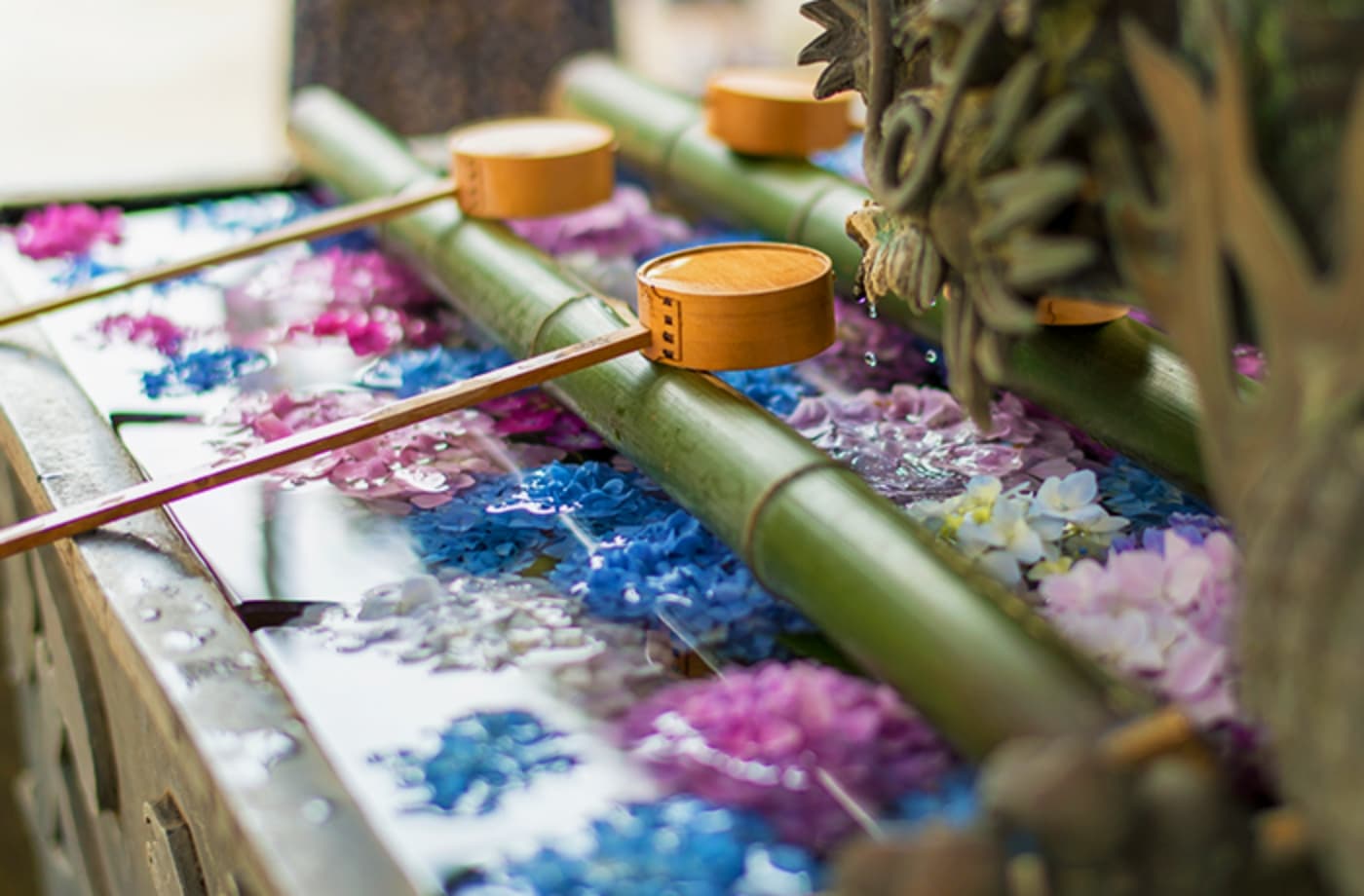 境内デザイン支援 画像